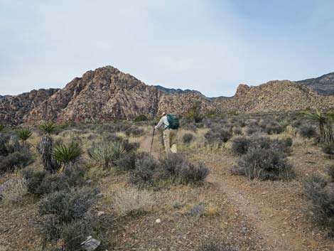 Grand Circle Trail