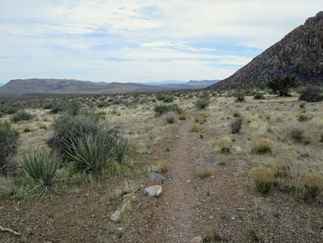 Grand Circle Trail