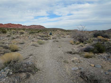 Grand Circle Trail