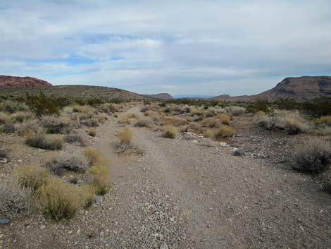 Grand Circle Trail