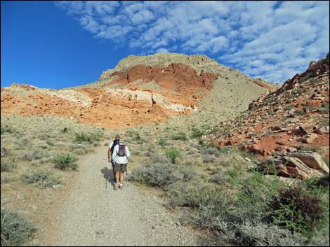 Kraft Mountain Loop