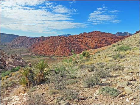 Kraft Mountain Loop