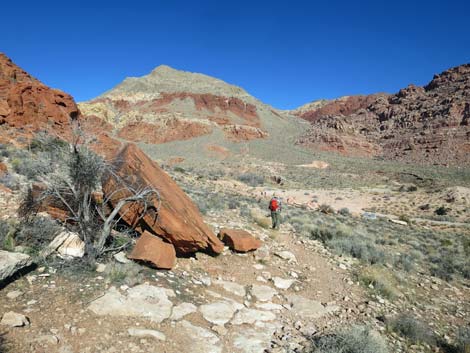 Girl Scout Trail