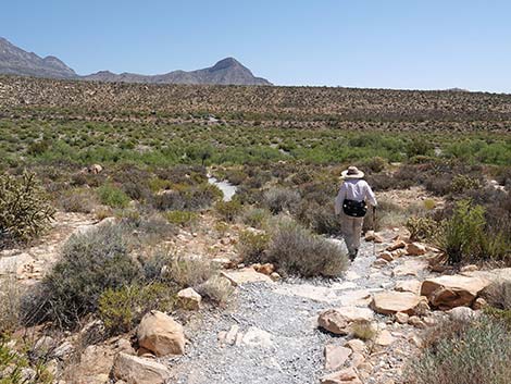 Ice Box Canyon Trail