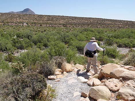 Ice Box Canyon Trail