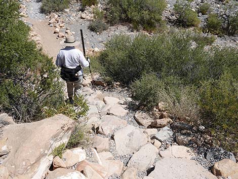 Ice Box Canyon Trail