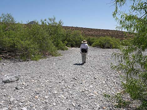 Ice Box Canyon Trail