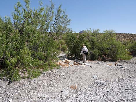 Ice Box Canyon Trail