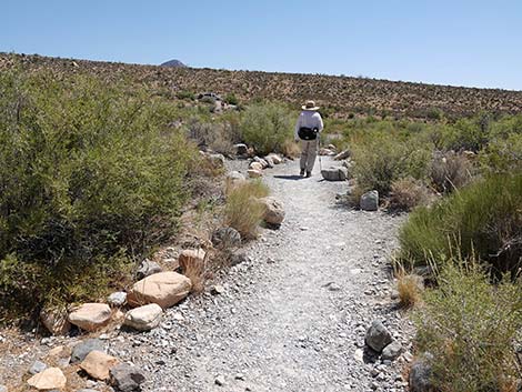 Ice Box Canyon Trail