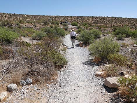 Ice Box Canyon Trail