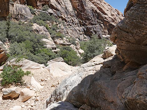 Ice Box Canyon Trail
