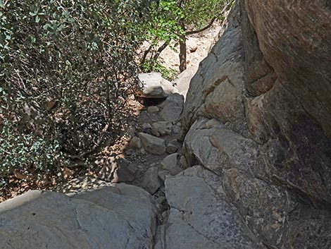 Ice Box Canyon Trail