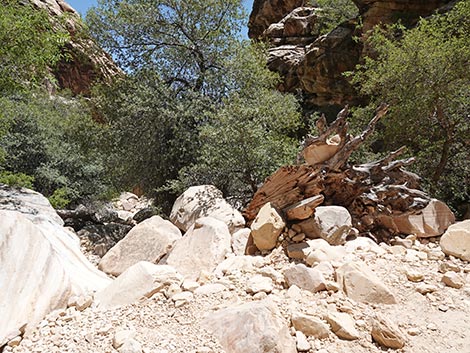 Ice Box Canyon Trail