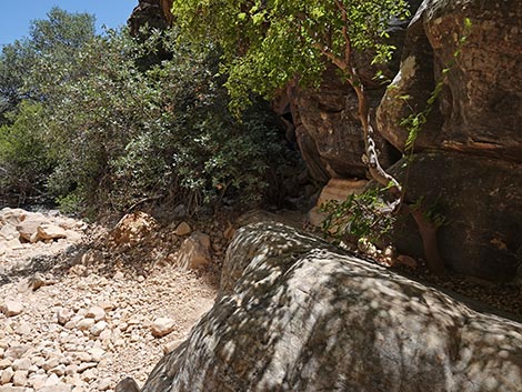 Ice Box Canyon Trail