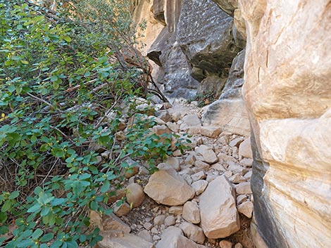 Ice Box Canyon Trail