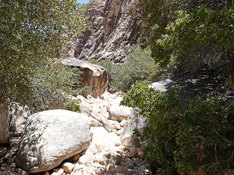 Ice Box Canyon Trail