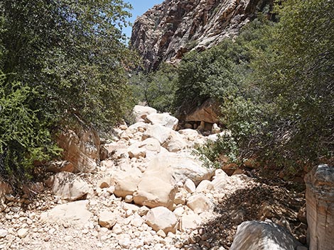 Ice Box Canyon Trail