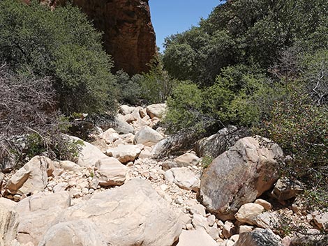 Ice Box Canyon Trail