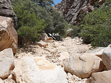 Ice Box Canyon Trail