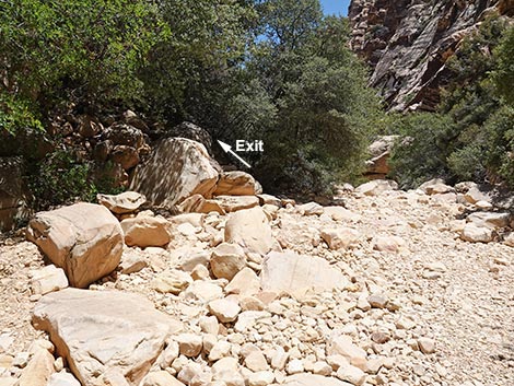 Ice Box Canyon Trail
