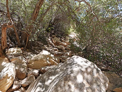 Ice Box Canyon Trail