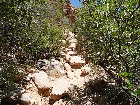 Ice Box Canyon Trail