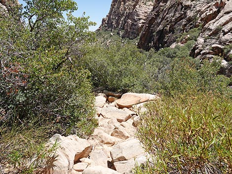 Ice Box Canyon Trail