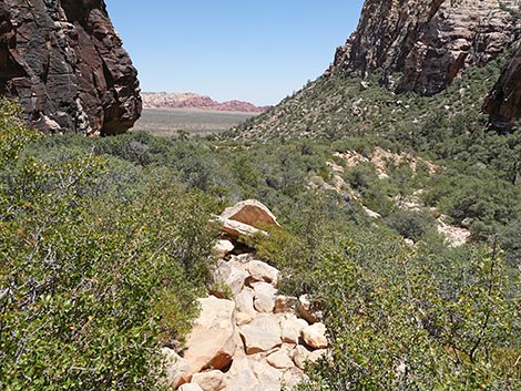 Ice Box Canyon Trail