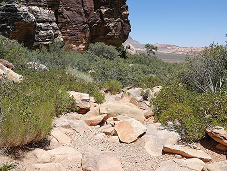 Ice Box Canyon Trail