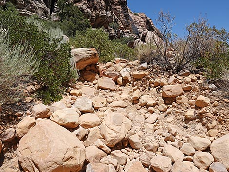 Ice Box Canyon Trail