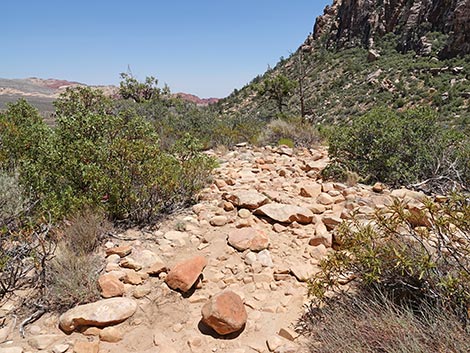 Ice Box Canyon Trail