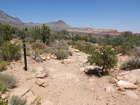 Ice Box Canyon Trail