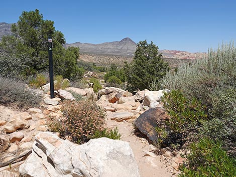 Ice Box Canyon Trail