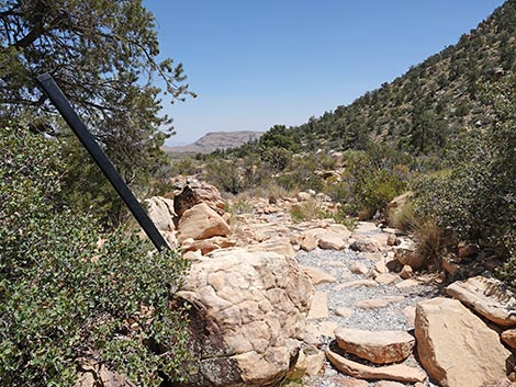 Ice Box Canyon Trail