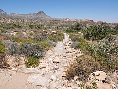 Ice Box Canyon Trail