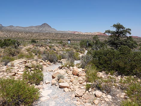 Ice Box Canyon