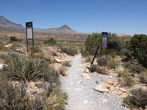 Ice Box Canyon