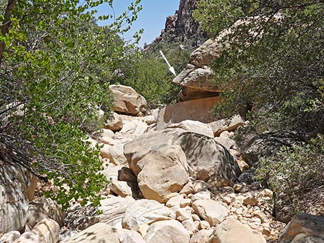 Ice Box Canyon Trail