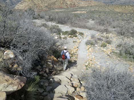 Icebox Canyon