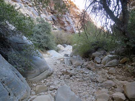 Ice Box Canyon