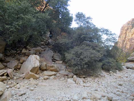 Ice Box Canyon