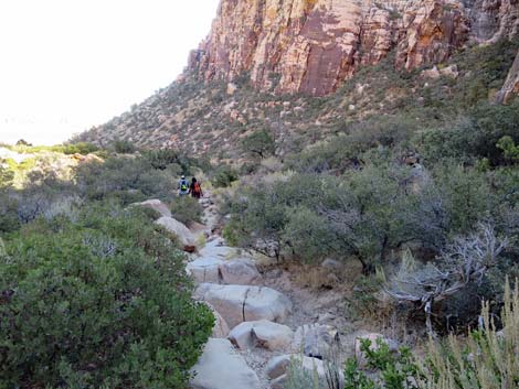 Ice Box Canyon