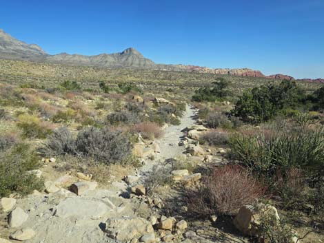 Ice Box Canyon