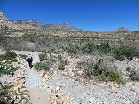 Icebox Canyon