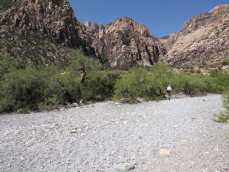 Ice Box Canyon