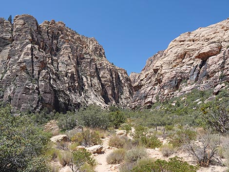 Ice Box Canyon