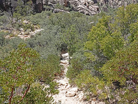 Ice Box Canyon