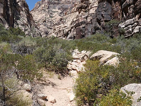 Ice Box Canyon