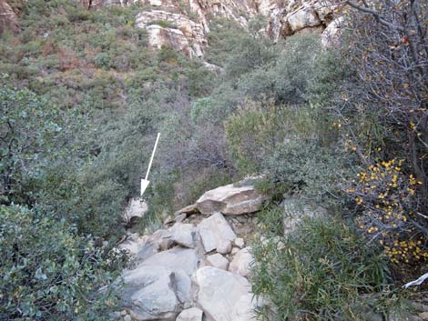 Ice Box Canyon