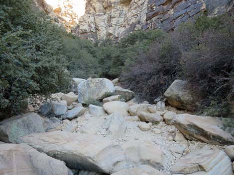 Ice Box Canyon